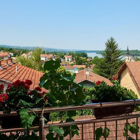 Sakota Family House Appartement Sremska Kamenica Buitenkant foto