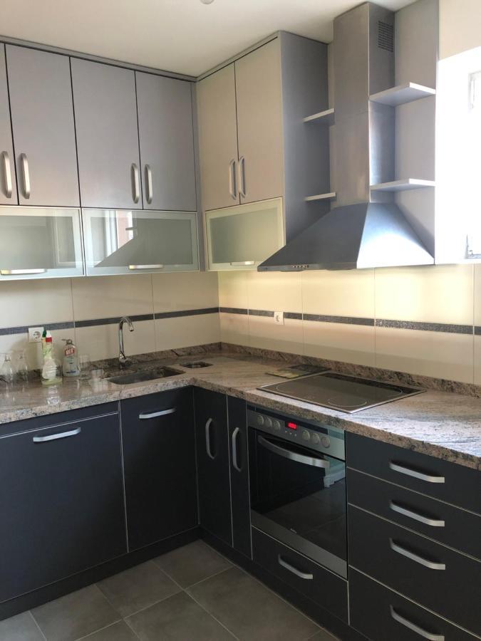 Sakota Family House Appartement Sremska Kamenica Buitenkant foto